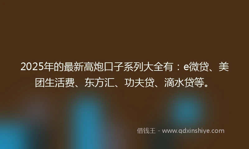 2025年的最新高炮口子系列大全有：e微贷、美团生活费、东方汇、功夫贷、滴水贷等。