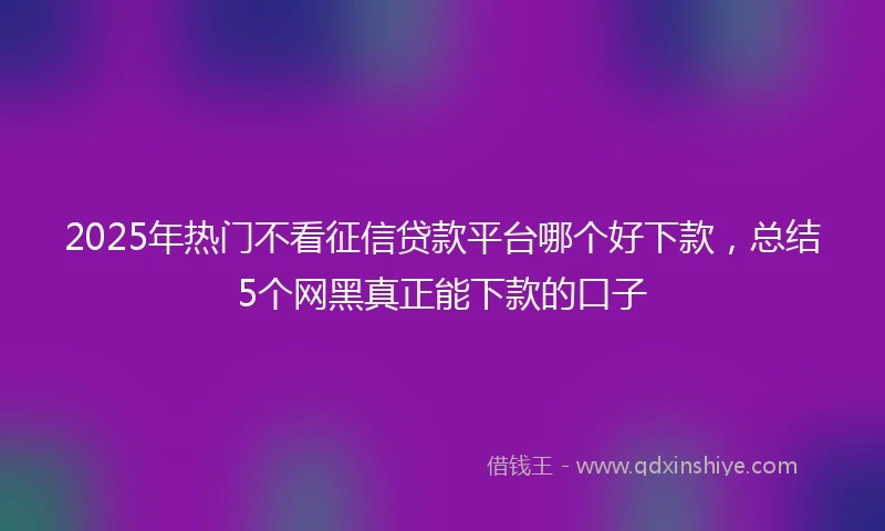 2025年热门不看征信贷款平台哪个好下款，总结5个网黑真正能下款的口子