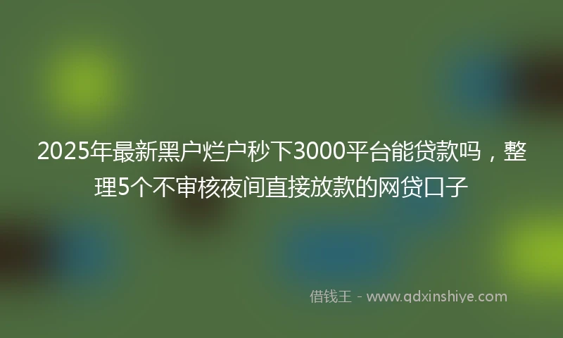 2025年最新黑户烂户秒下3000平台能贷款吗，整理5个不审核夜间直接放款的网贷口子