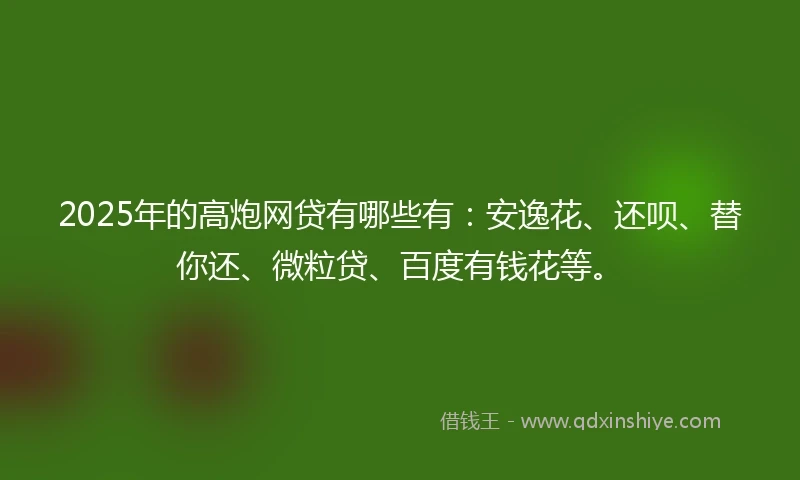 2025年的高炮网贷有哪些有：安逸花、还呗、替你还、微粒贷、百度有钱花等。