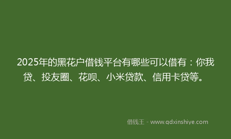 2025年的黑花户借钱平台有哪些可以借有：你我贷、投友圈、花呗、小米贷款、信用卡贷等。