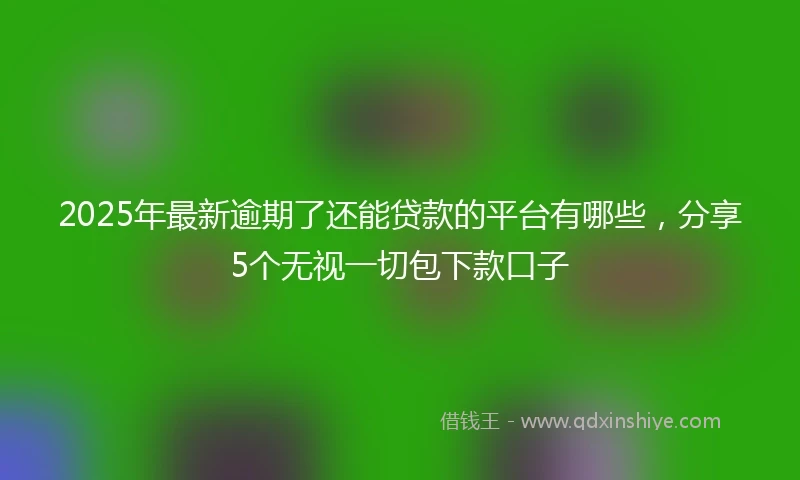 2025年最新逾期了还能贷款的平台有哪些，分享5个无视一切包下款口子