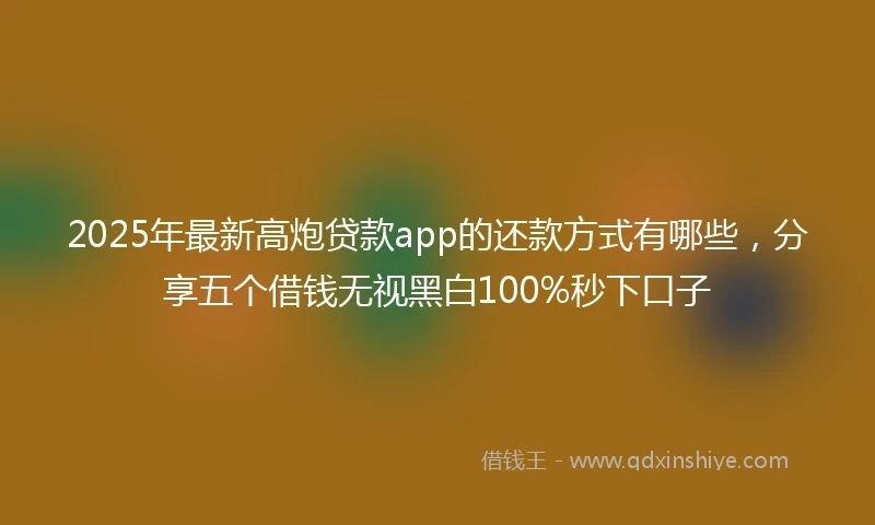 2025年最新高炮贷款app的还款方式有哪些，分享五个借钱无视黑白100%秒下口子