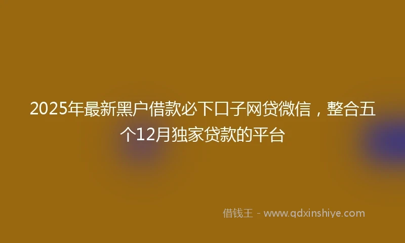 2025年最新黑户借款必下口子网贷微信，整合五个12月独家贷款的平台