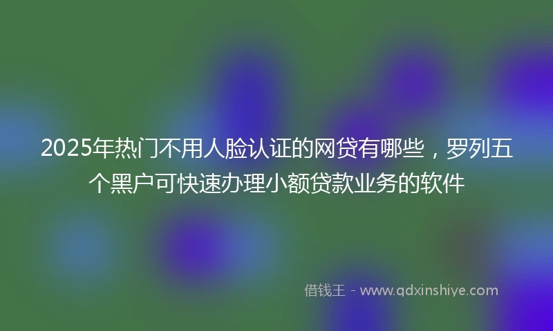 2025年热门不用人脸认证的网贷有哪些，罗列五个黑户可快速办理小额贷款业务的软件