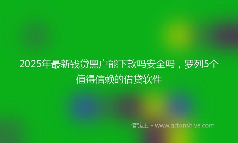 2025年最新钱贷黑户能下款吗安全吗，罗列5个值得信赖的借贷软件