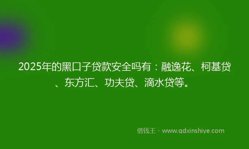 2025年的黑口子贷款安全吗有:融逸花、柯基贷、东方汇、功夫贷、滴水贷等。