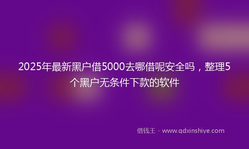 2025年最新黑户借5000去哪借呢安全吗，整理5个黑户无条件下款的软件