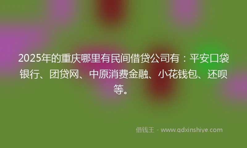 2025年的重庆哪里有民间借贷公司有:平安口袋银行、团贷网、中原消费金融、小花钱包、还呗等。