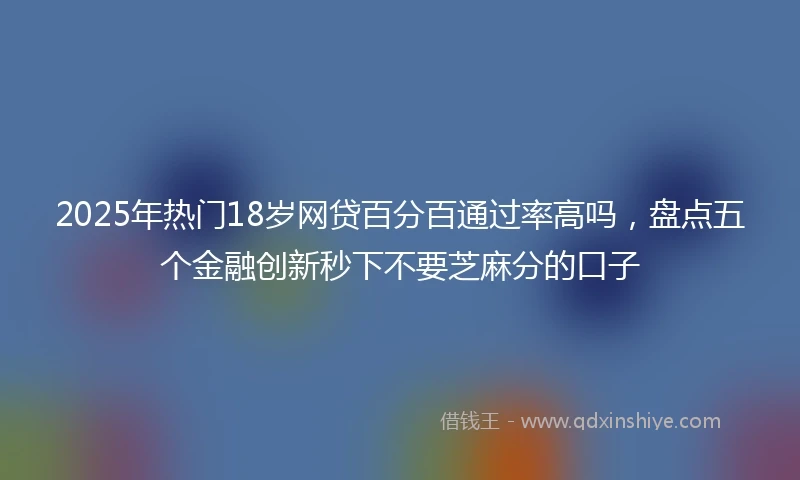 2025年热门18岁网贷百分百通过率高吗，盘点五个金融创新秒下不要芝麻分的口子