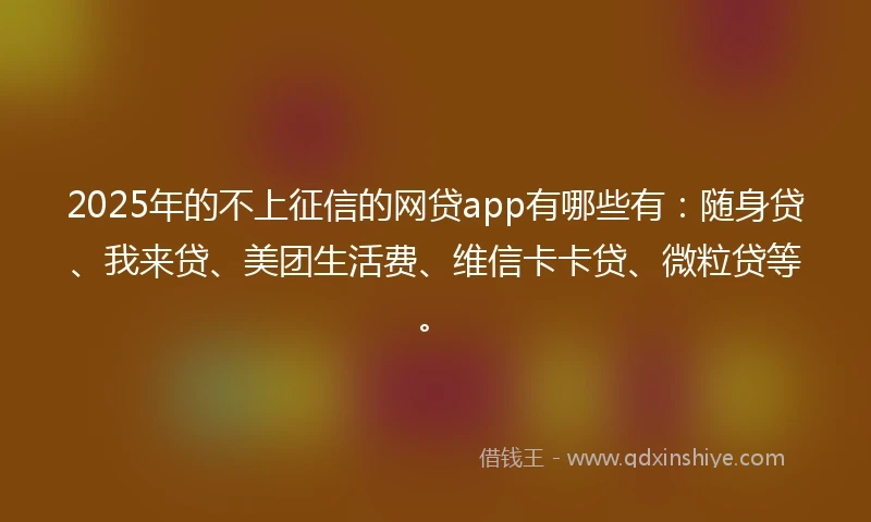 2025年的不上征信的网贷app有哪些有：随身贷、我来贷、美团生活费、维信卡卡贷、微粒贷等。