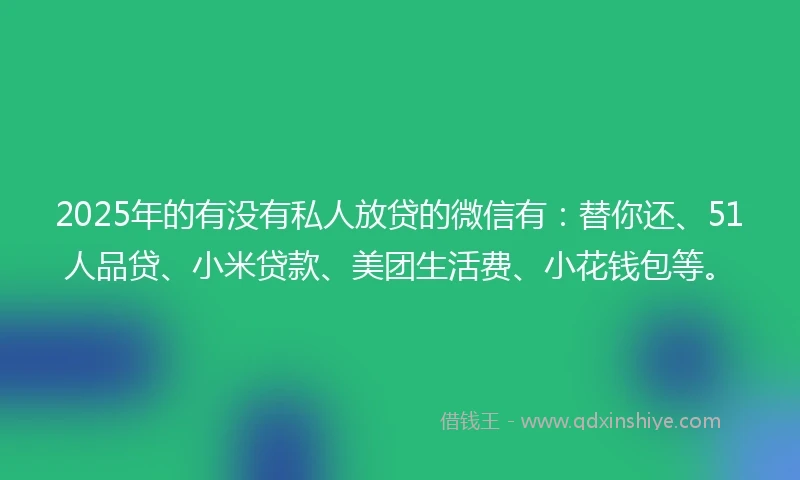 2025年的有没有私人放贷的微信有：替你还、51人品贷、小米贷款、美团生活费、小花钱包等。
