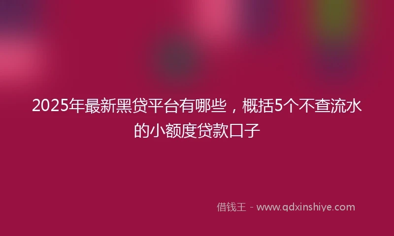 2025年最新黑贷平台有哪些，概括5个不查流水的小额度贷款口子