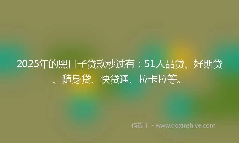 2025年的黑口子贷款秒过有：51人品贷、好期贷、随身贷、快贷通、拉卡拉等。