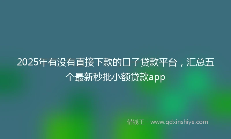 2025年有没有直接下款的口子贷款平台，汇总五个最新秒批小额贷款app