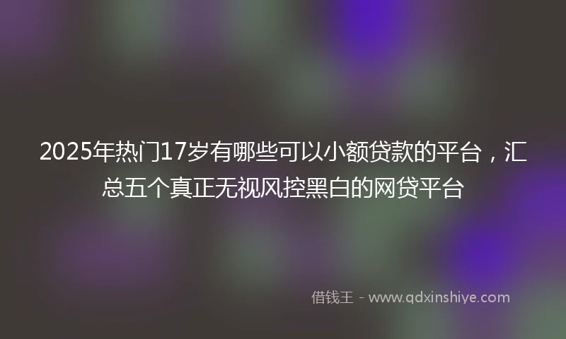 2025年热门17岁有哪些可以小额贷款的平台，汇总五个真正无视风控黑白的网贷平台