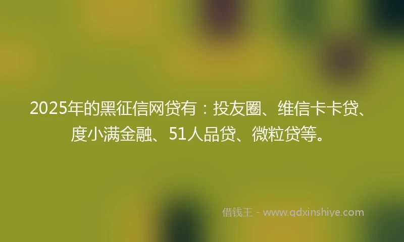 2025年的黑征信网贷有:投友圈、维信卡卡贷、度小满金融、51人品贷、微粒贷等。