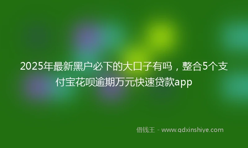 2025年最新黑户必下的大口子有吗，整合5个支付宝花呗逾期万元快速贷款app