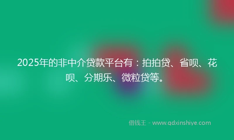 2025年的非中介贷款平台有：拍拍贷、省呗、花呗、分期乐、微粒贷等。
