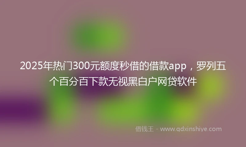 2025年热门300元额度秒借的借款app，罗列五个百分百下款无视黑白户网贷软件