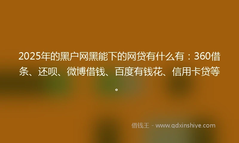 2025年的黑户网黑能下的网贷有什么有:360借条、还呗、微博借钱、百度有钱花、信用卡贷等。