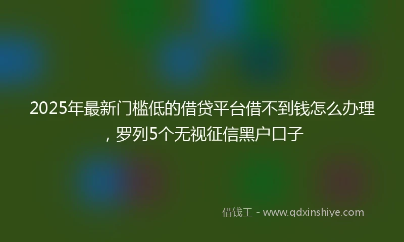 2025年最新门槛低的借贷平台借不到钱怎么办理，罗列5个无视征信黑户口子