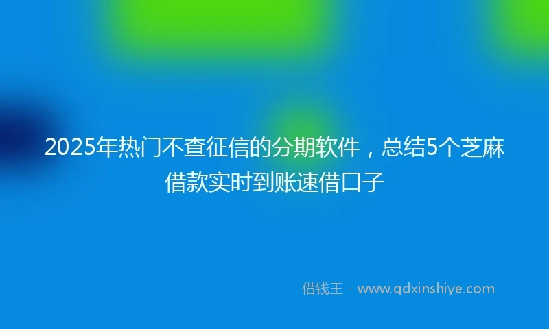 2025年热门不查征信的分期软件，总结5个芝麻借款实时到账速借口子