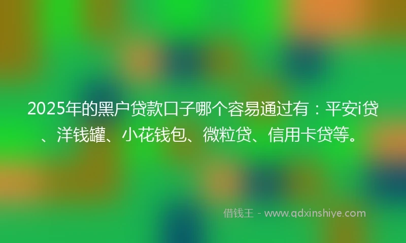 2025年的黑户贷款口子哪个容易通过有：平安i贷、洋钱罐、小花钱包、微粒贷、信用卡贷等。