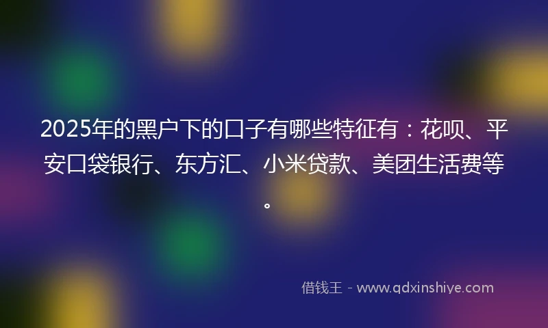 2025年的黑户下的口子有哪些特征有：花呗、平安口袋银行、东方汇、小米贷款、美团生活费等。