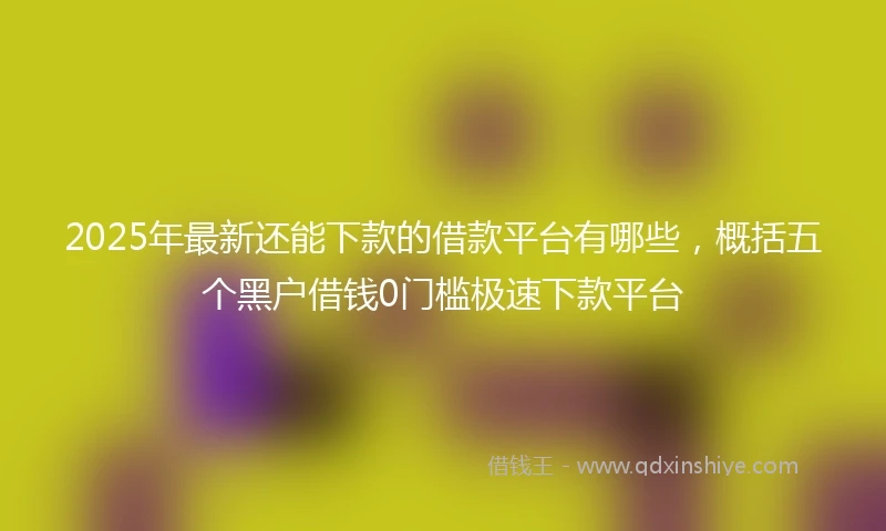 2025年最新还能下款的借款平台有哪些，概括五个黑户借钱0门槛极速下款平台