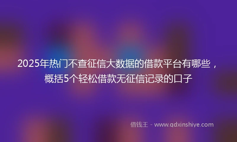 2025年热门不查征信大数据的借款平台有哪些，概括5个轻松借款无征信记录的口子