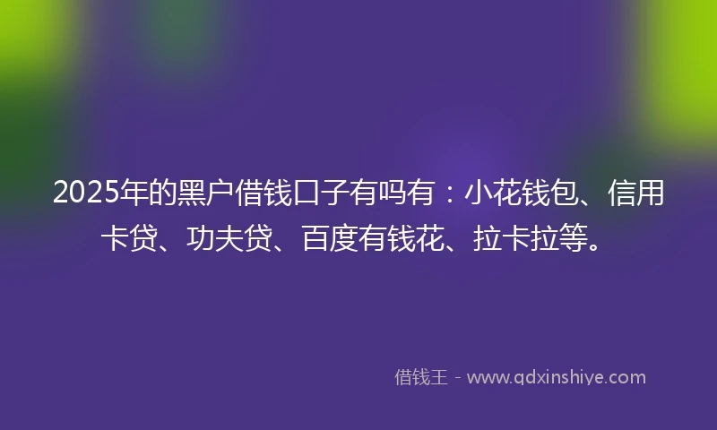 2025年的黑户借钱口子有吗有：小花钱包、信用卡贷、功夫贷、百度有钱花、拉卡拉等。