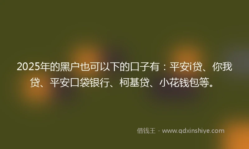 2025年的黑户也可以下的口子有：平安i贷、你我贷、平安口袋银行、柯基贷、小花钱包等。