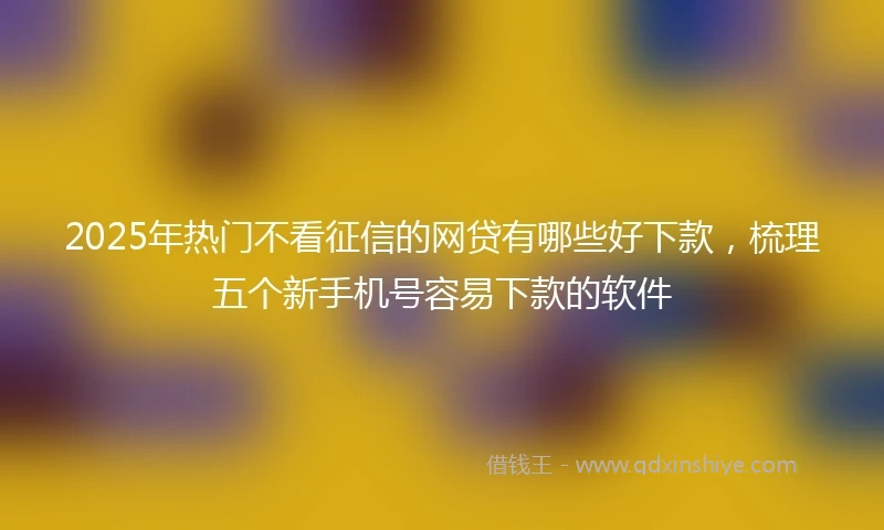 2025年热门不看征信的网贷有哪些好下款，梳理五个新手机号容易下款的软件