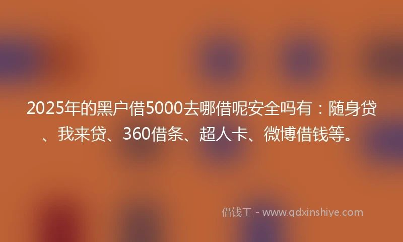 2025年的黑户借5000去哪借呢安全吗有：随身贷、我来贷、360借条、超人卡、微博借钱等。