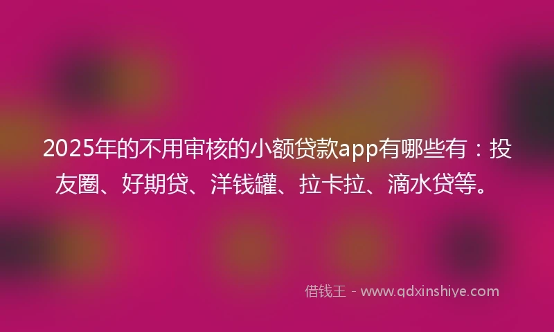 2025年的不用审核的小额贷款app有哪些有：投友圈、好期贷、洋钱罐、拉卡拉、滴水贷等。