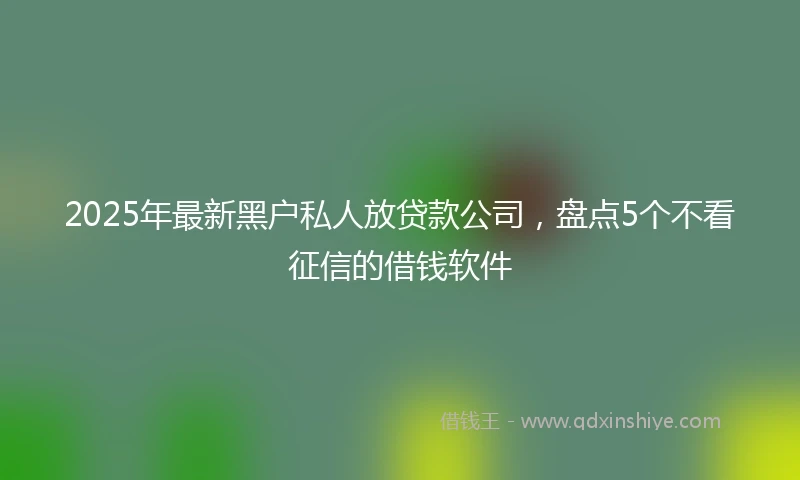 2025年最新黑户私人放贷款公司，盘点5个不看征信的借钱软件