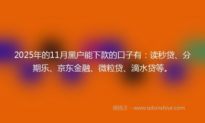 2025年的11月黑户能下款的口子有：读秒贷、分期乐、京东金融、微粒贷、滴水贷等。