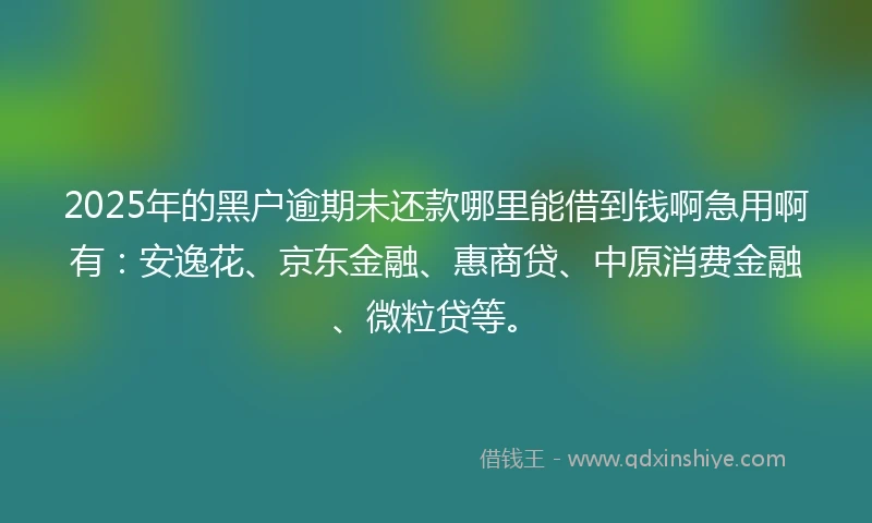 2025年的黑户逾期未还款哪里能借到钱啊急用啊有：安逸花、京东金融、惠商贷、中原消费金融、微粒贷等。