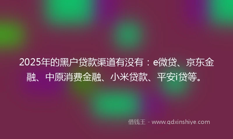 2025年的黑户贷款渠道有没有：e微贷、京东金融、中原消费金融、小米贷款、平安i贷等。