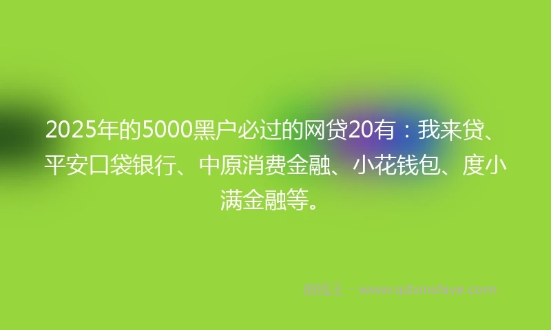 2025年的5000黑户必过的网贷20有：我来贷、平安口袋银行、中原消费金融、小花钱包、度小满金融等。