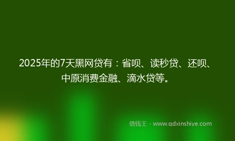 2025年的7天黑网贷有：省呗、读秒贷、还呗、中原消费金融、滴水贷等。