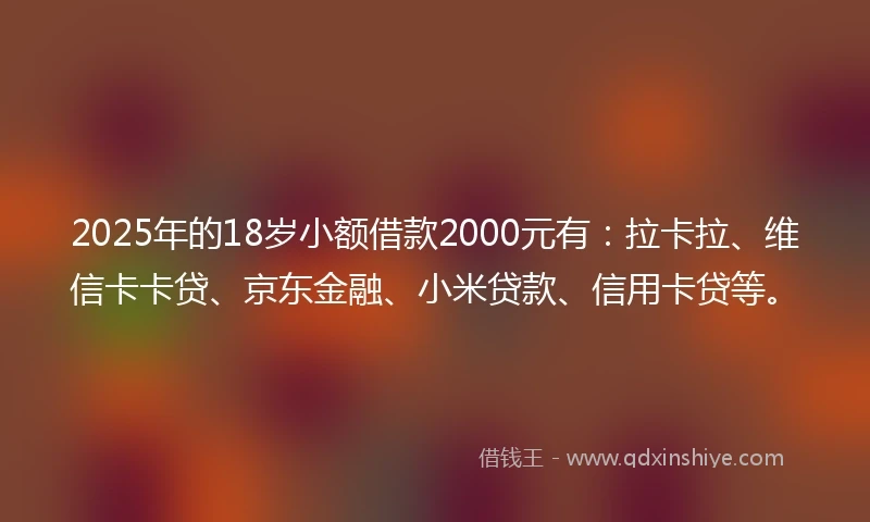 2025年的18岁小额借款2000元有：拉卡拉、维信卡卡贷、京东金融、小米贷款、信用卡贷等。