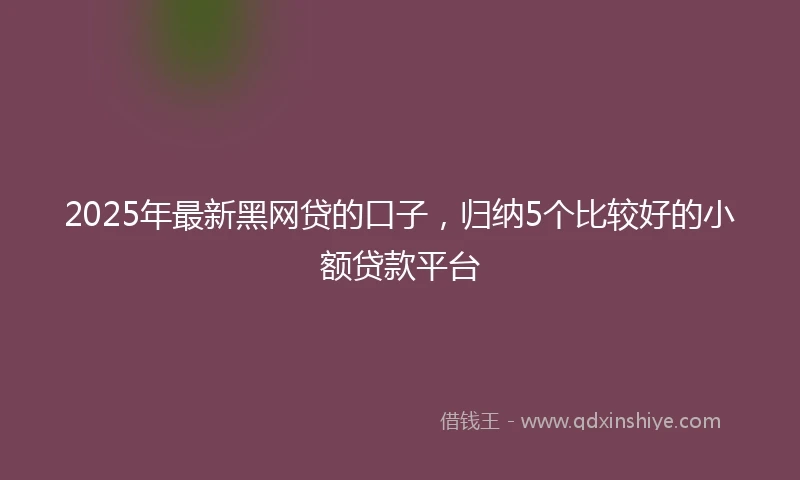 2025年最新黑网贷的口子，归纳5个比较好的小额贷款平台