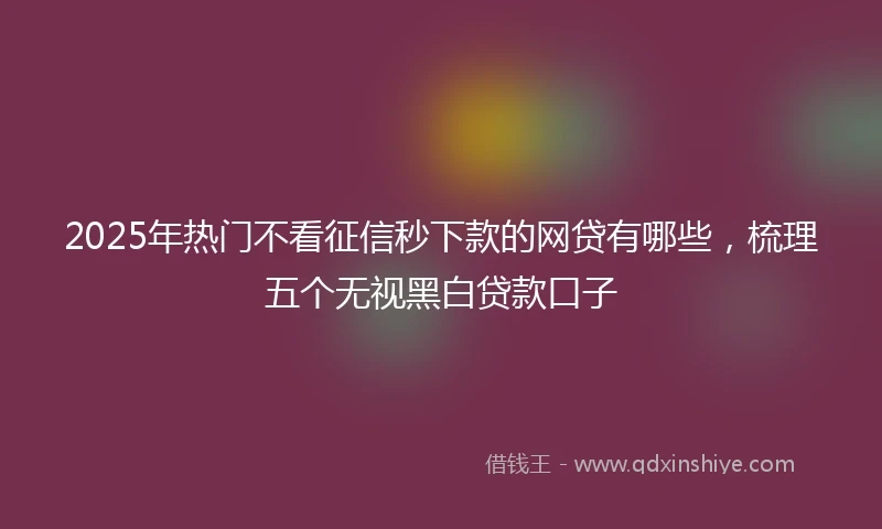 2025年热门不看征信秒下款的网贷有哪些，梳理五个无视黑白贷款口子