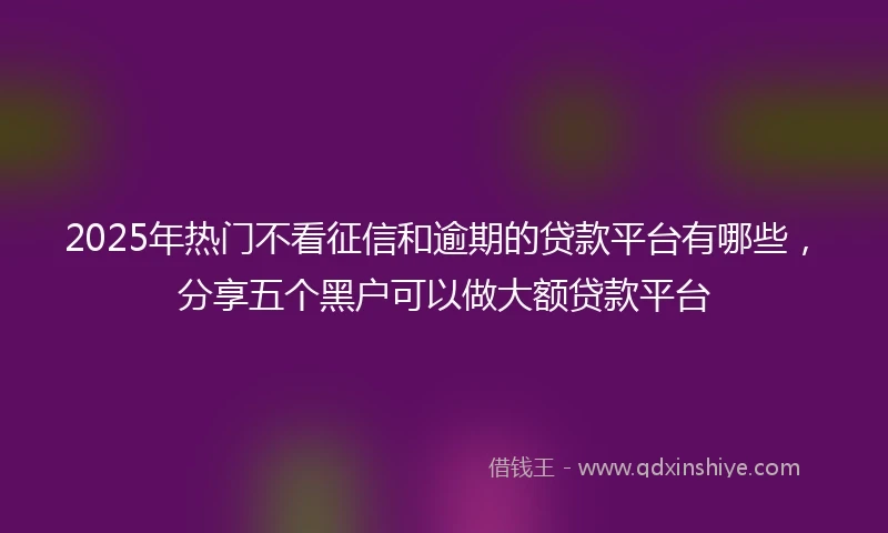 2025年热门不看征信和逾期的贷款平台有哪些，分享五个黑户可以做大额贷款平台