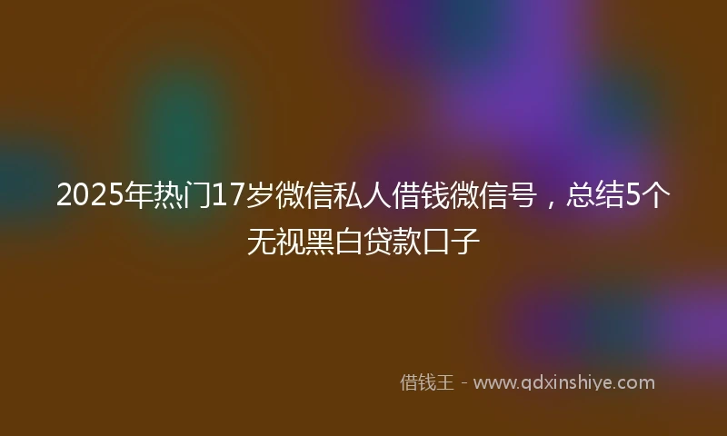 2025年热门17岁微信私人借钱微信号，总结5个无视黑白贷款口子