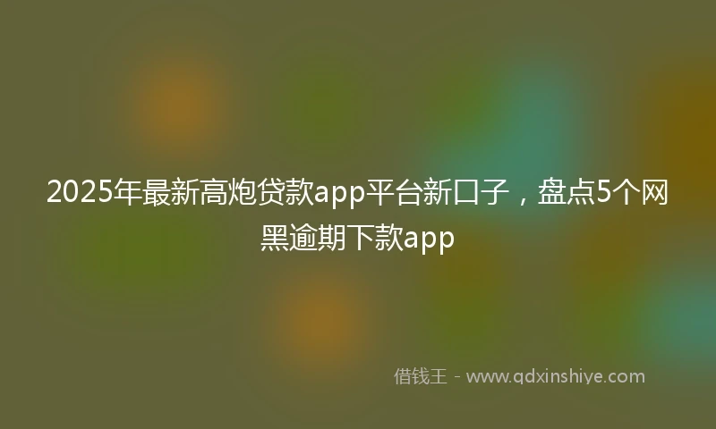 2025年最新高炮贷款app平台新口子,盘点5个网黑逾期下款app