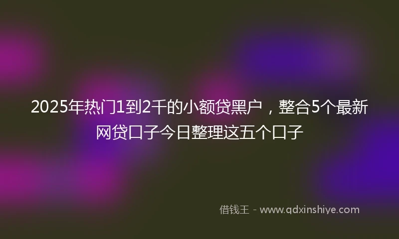 2025年热门1到2千的小额贷黑户,整合5个最新网贷口子今日整理这五个口子