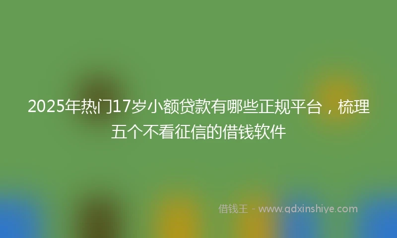 2025年热门17岁小额贷款有哪些正规平台，梳理五个不看征信的借钱软件